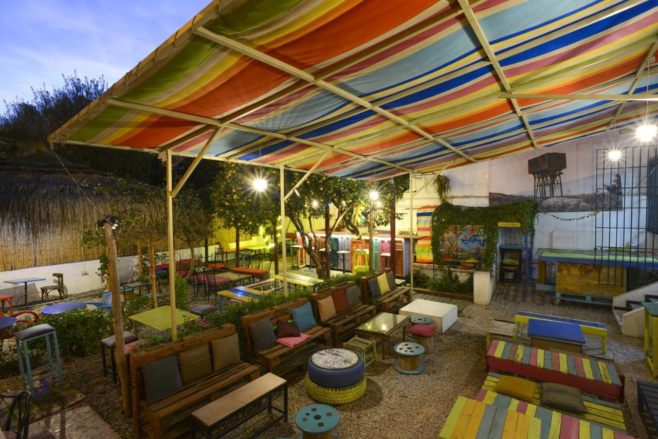Villa Les Palmes - Chambre D'Hotes チュニス エクステリア 写真